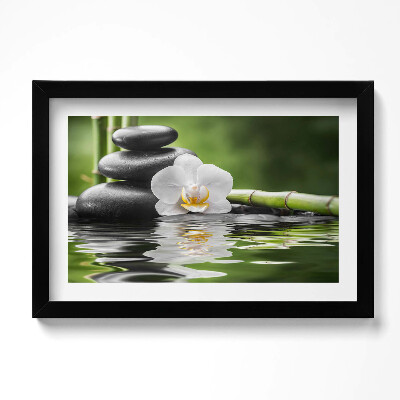 Obraz w ramie Zen - kamienie bambus i kwiat na wodzie