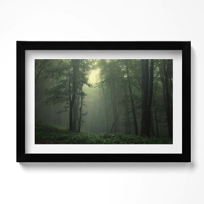 Obraz w ramie Mglisty las o poranku
