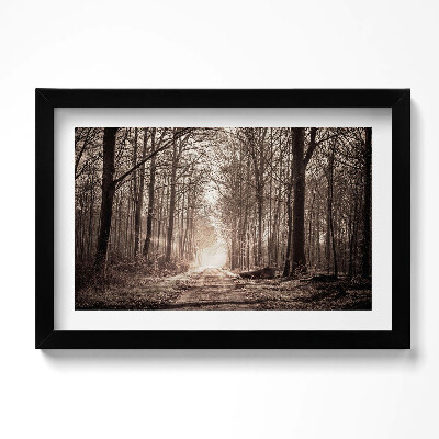 Obraz w ramie Ścieżka leśna w kolorach sepii