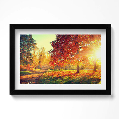 Obraz w ramie Jesienny park
