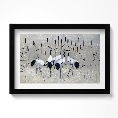 Obraz w ramie Żurawie w trzcinie