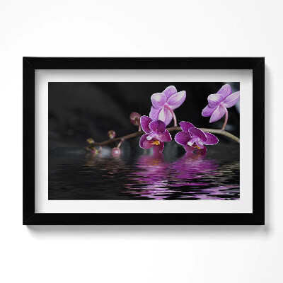 Obraz w ramie Różowy kwiat orchidei na wodzie