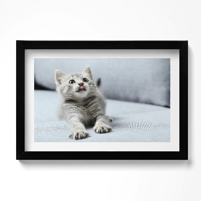 Obraz w ramie Uroczy mały kotek na kanapie