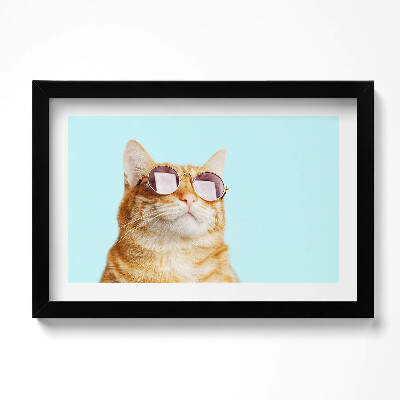 Obraz w ramie Śmieszny kot w okularach