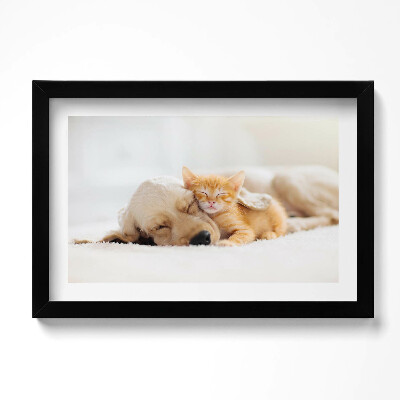 Obraz w ramie Śpiące zwierzęta kot i pies