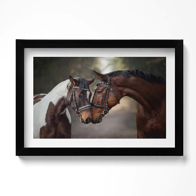 Obraz w ramie Portret koni w lesie