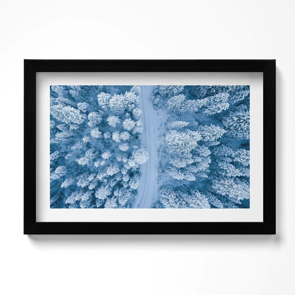 Obraz w ramie Las z lotu ptaka Dron