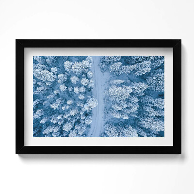 Obraz w ramie Las z lotu ptaka Dron