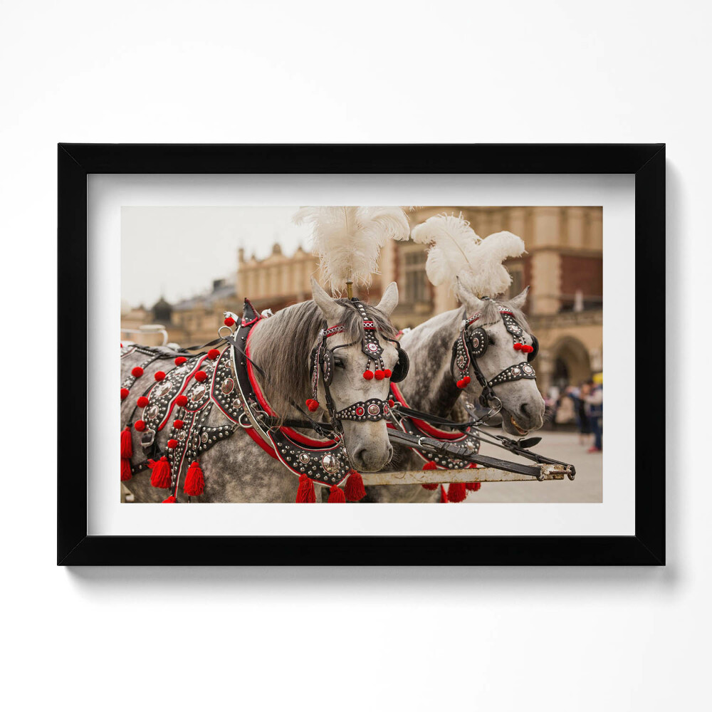 Obraz w ramie Piękne konie w Krakowie