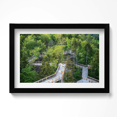 Obraz w ramie Ścieżka w Krynicy Zdroju