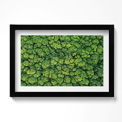 Obraz w ramie Natura rośliny mech