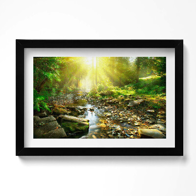 Obraz w ramie Leśny strumyk w promieniach słońca