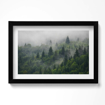 Obraz w ramie Pejzaż las we mgle