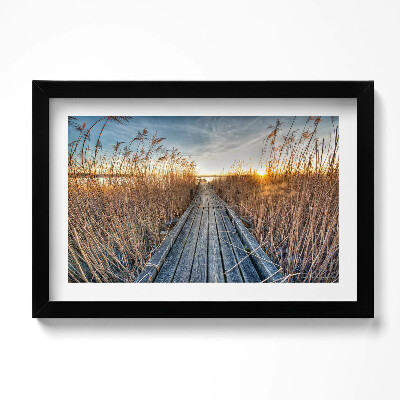 Obraz w ramie Drewniana droga wśród trwa