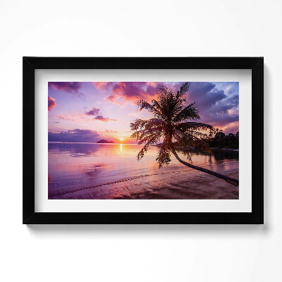 Obraz w ramie Palma na plazy o zachodzie słońca