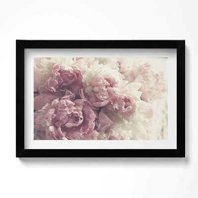 Obraz w ramie Subtelne kwiaty piwonie