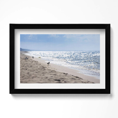 Obraz w ramie Morskie fale i ptak na plaży