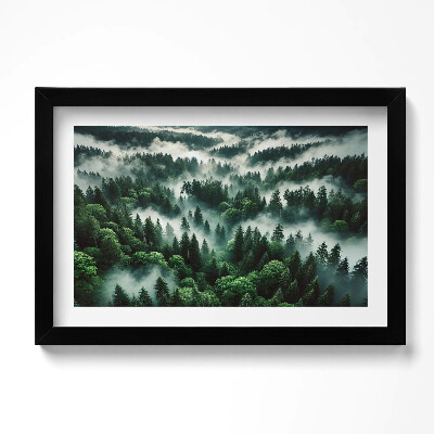 Obraz w ramie Pejzaż poranna mgła w lesie