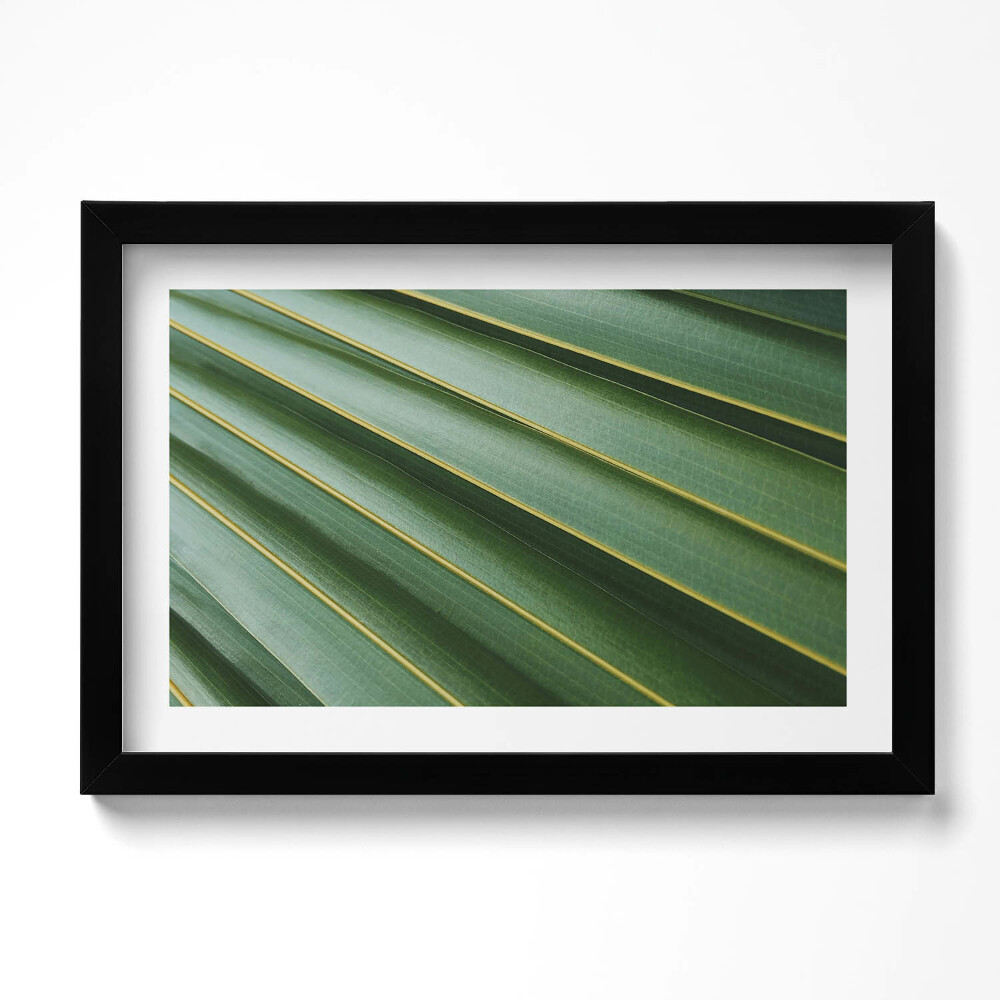 Obraz w ramie Faktura zielonej rośliny