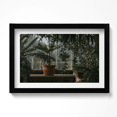 Obraz w ramie Vintage rośliny na oknie