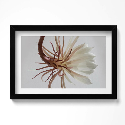 Obraz w ramie Delikatna roślina boho