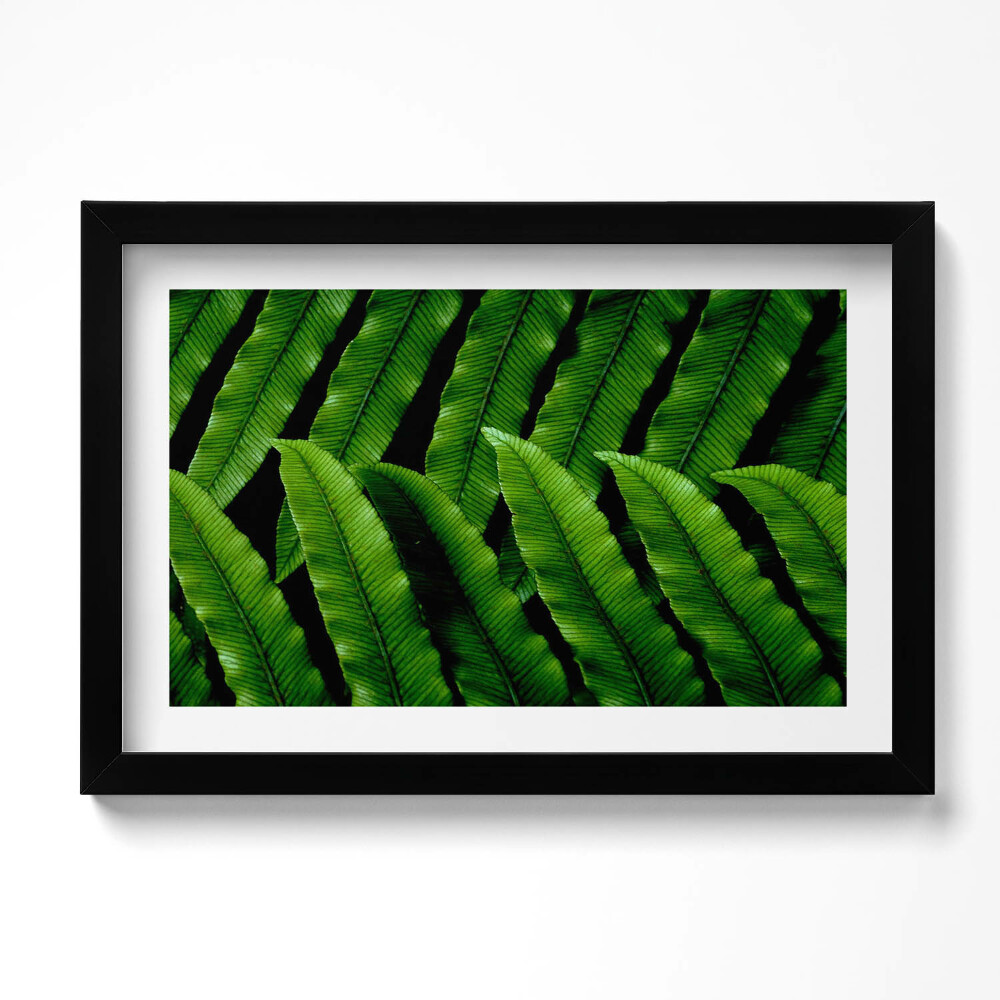 Obraz w ramie Zielone liście zbliżenie