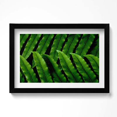 Obraz w ramie Zielone liście zbliżenie