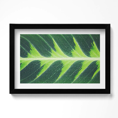 Obraz w ramie Faktura i żyłki liścia