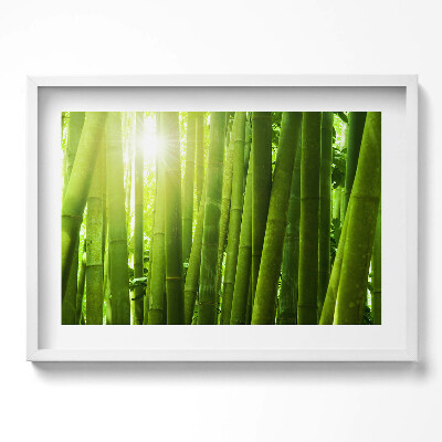 Obraz w ramie Zielone łodygi bambusa