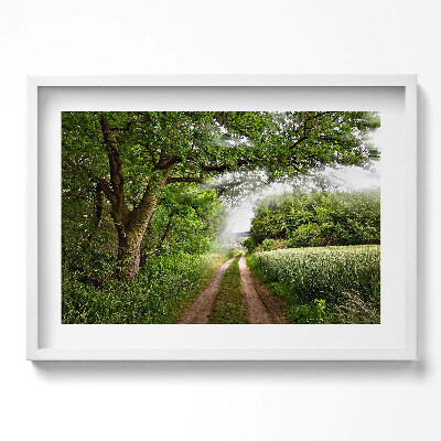 Obraz w ramie Ścieżka, drzewa i promienie słońca