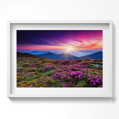 Obraz w ramie Wschód słońca kwiaty