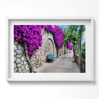Obraz w ramie Droga z kwiatami na Capri we Włoszech