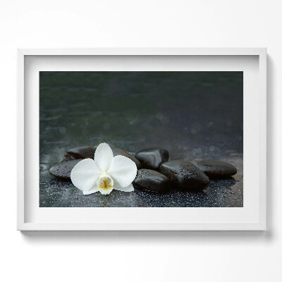 Obraz w ramie Biały kwiat kamienie Zen