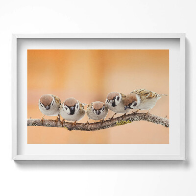 Obraz w ramie Ptaki na gałęzi