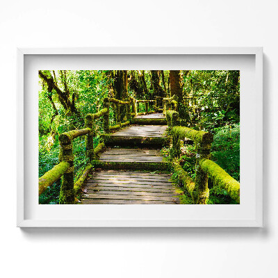 Obraz w ramie Drewniany chodnik - agroturystyka