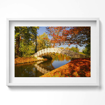 Obraz w ramie Park Woerlitzer złotej jesieni