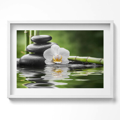Obraz w ramie Zen - kamienie bambus i kwiat na wodzie