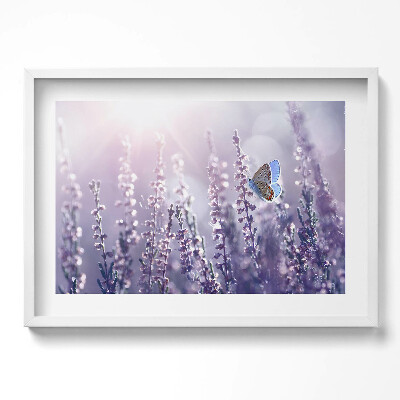 Obraz w ramie Motyl na polnych kwiatach