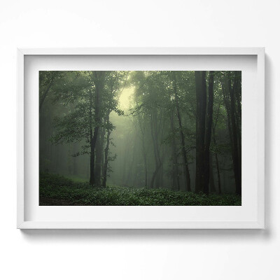 Obraz w ramie Mglisty las o poranku