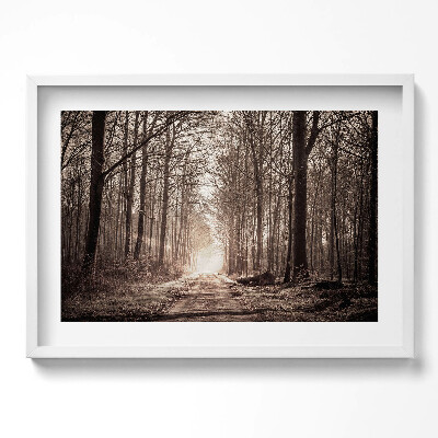 Obraz w ramie Ścieżka leśna w kolorach sepii
