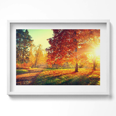Obraz w ramie Jesienny park