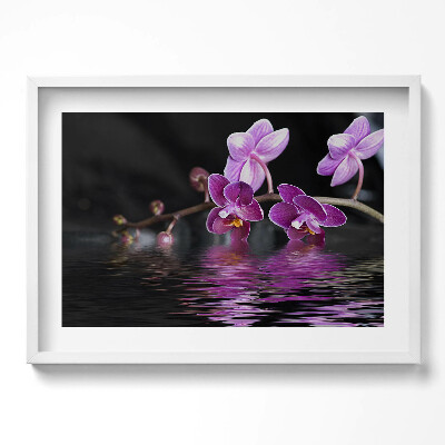 Obraz w ramie Różowy kwiat orchidei na wodzie