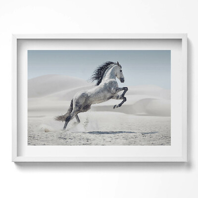 Obraz w ramie Galopujący biały koń
