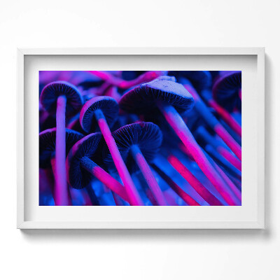 Obraz w ramie Magiczne kolorowe grzyby