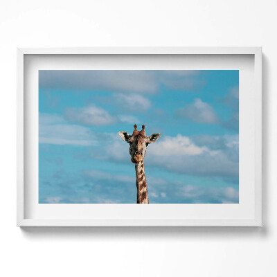 Obraz w ramie Głowa żyrafy na tle nieba