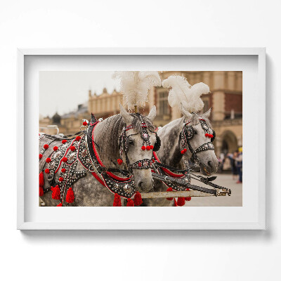 Obraz w ramie Piękne konie w Krakowie