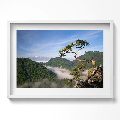 Obraz w ramie Sokolica Wierch w Pieninach