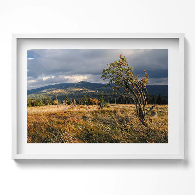 Obraz w ramie Karkonosze jesienią