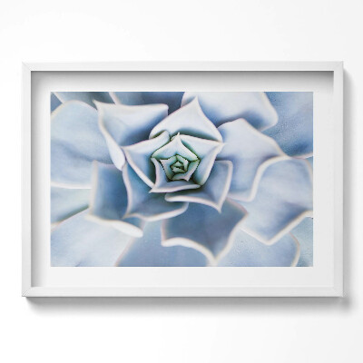 Obraz w ramie Roślina kwiat