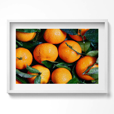 Obraz w ramie Owoce pomarańcze